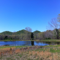 Lakeview Trail